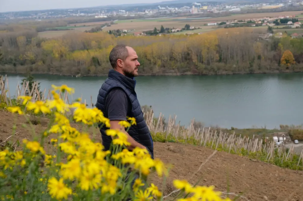 Rhône septentrional à Condrieu