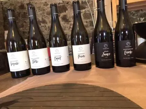 Vin restaurant gastronomique à Condrieu